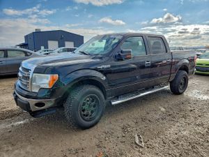 Ford F-150 SUPERCREW 5.0L 8 2013