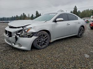 Nissan Maxima S 3.5L 6 2009