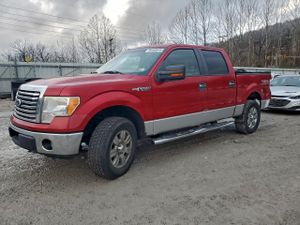 Ford F-150 SUPERCREW 5.4L 8 2010