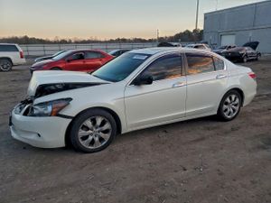 Honda Accord EXL 3.5L 6 2010