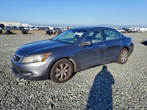 Honda Accord EXL 3.5L 6 2010