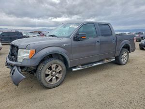 Ford F-150 SUPERCREW 5.4L 8 2009