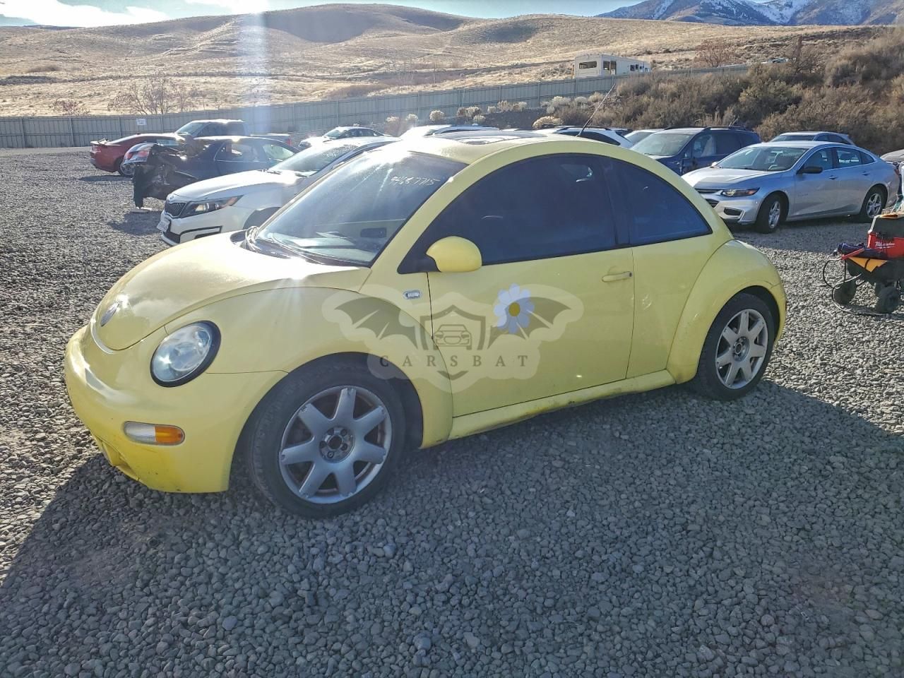 Volkswagen Beetle GLX 1.8L 4 2002