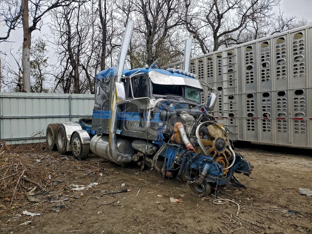 Peterbilt 389/520 2011