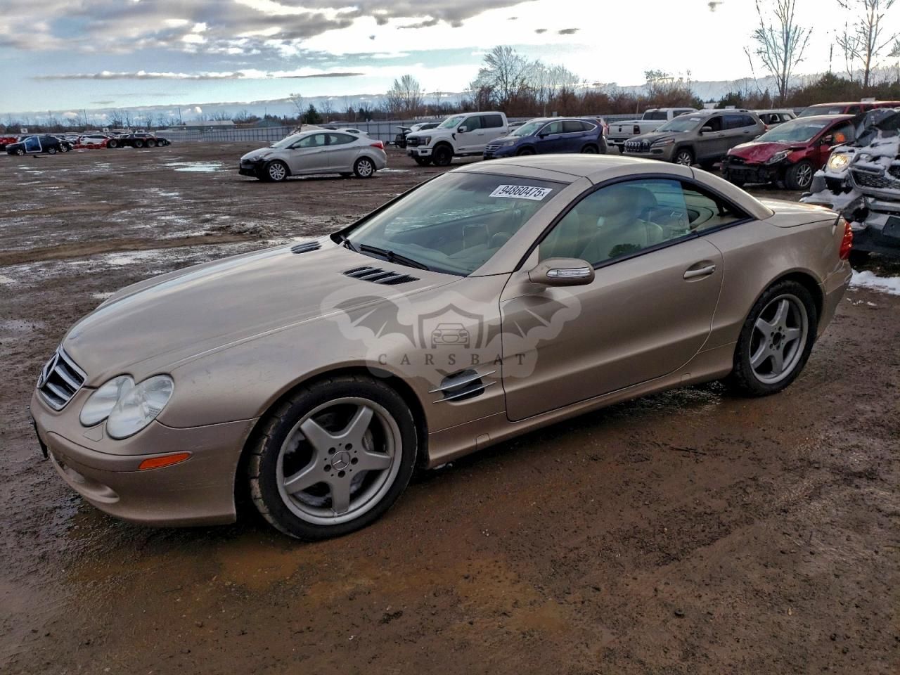 Mercedes-Benz SL 500 5.0L 8 2004