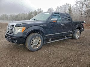 Ford F-150 SUPERCREW 5.4L 8 2010