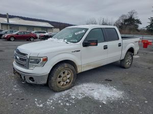 Ford F-150 SUPERCREW 5.0L 8 2014