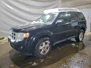 Ford Escape XLT 2.5L 4 2010