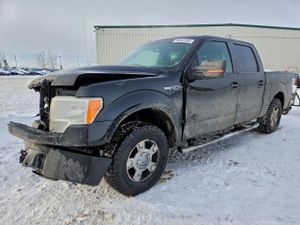 Ford F-150 SUPERCREW 5.0L 8 2013