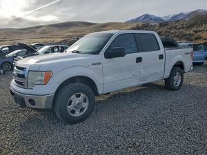 Ford F-150 SUPERCREW 5.0L 8 2014