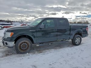 Ford F-150 SUPERCREW 5.0L 8 2014