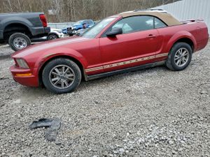 Ford Mustang 4.0L 6 2005