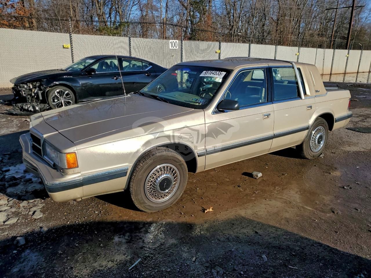 Dodge Dynasty LE 3.3L 6 1992
