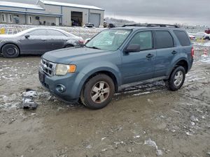 Ford Escape XLT 2.5L 4 2010