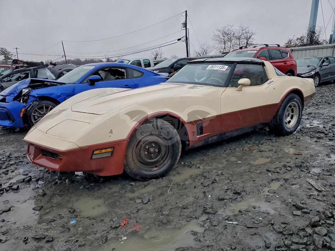 Chevrolet Corvette 5.7L 8 1981