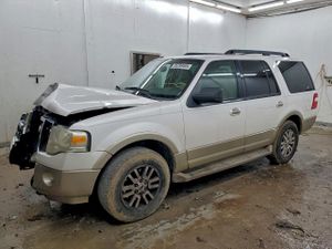 Ford Expedition EDDIE BAUER 5.4L 8 2010
