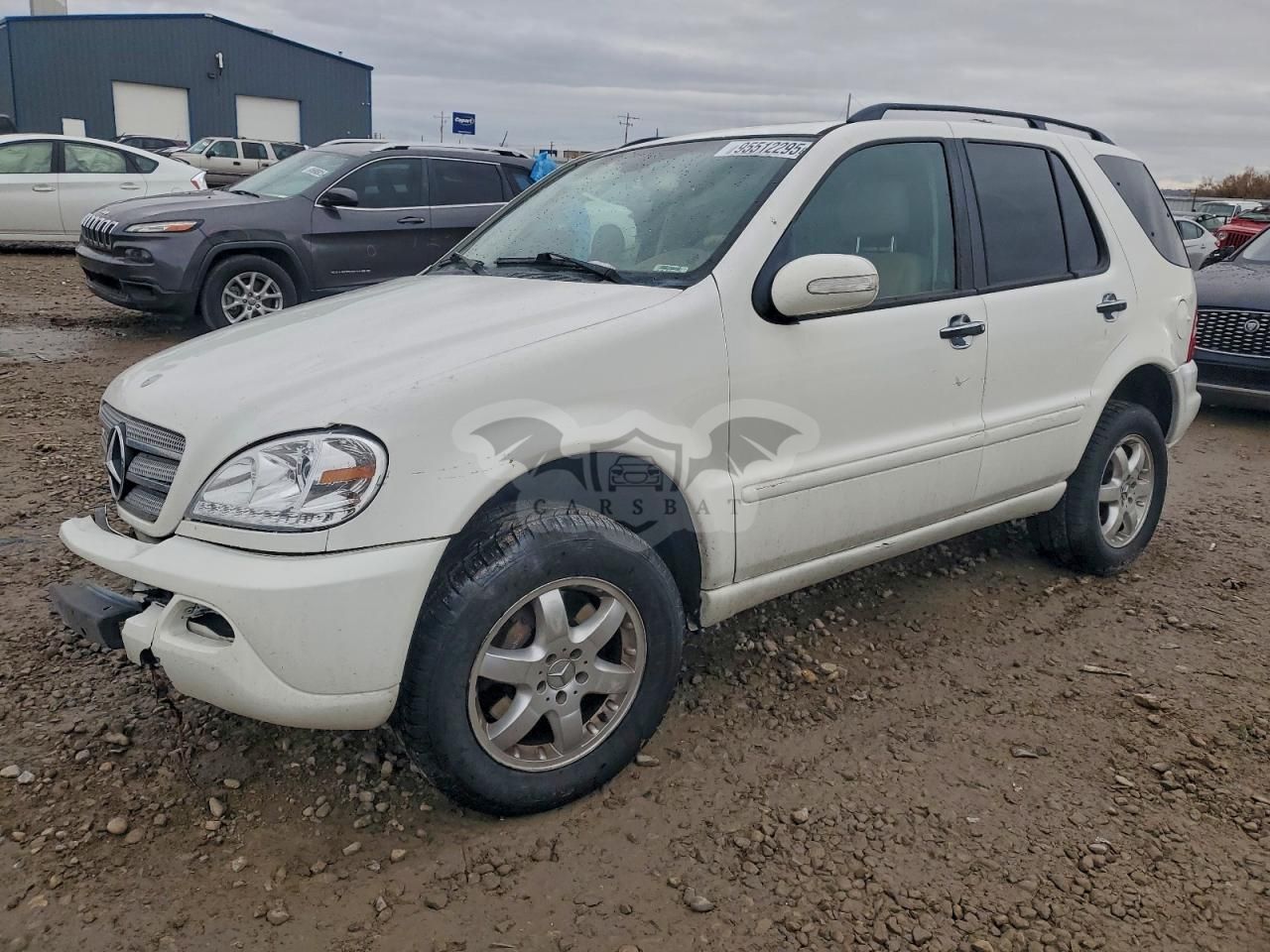 Mercedes-Benz ML 500 5.0L 8 2004