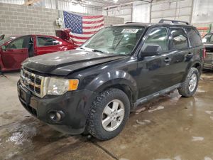 Ford Escape XLT 2.5L 4 2011