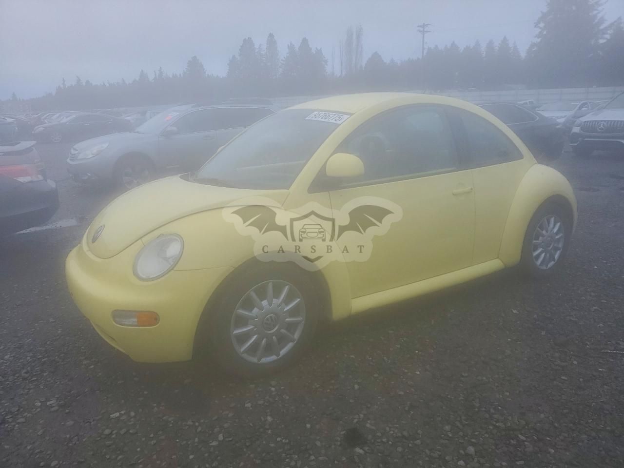 Volkswagen Beetle 2.0L 4 1998