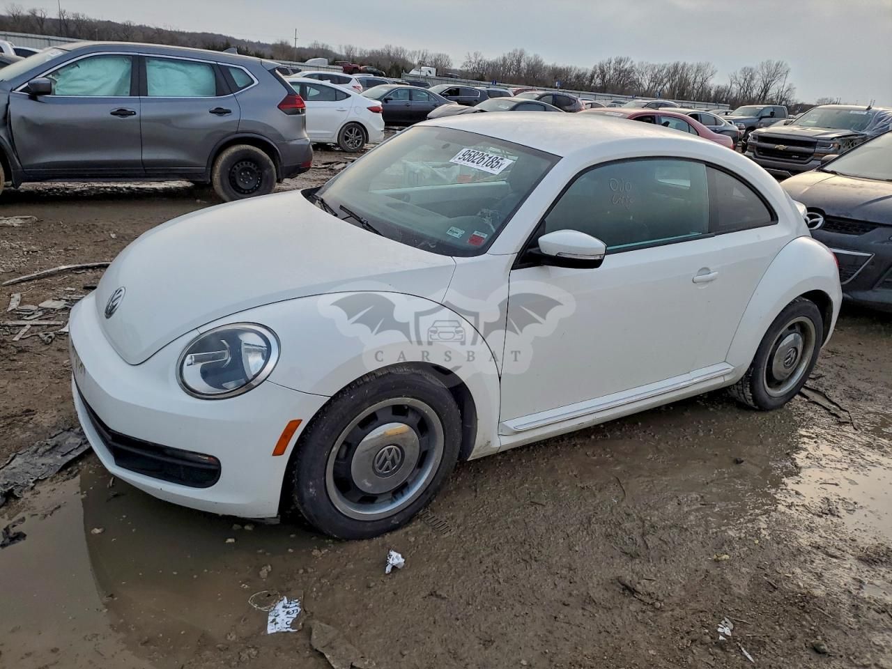 Volkswagen Beetle 1.8L 4 2014