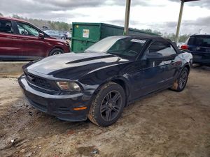 Ford Mustang 4.0L 6 2010
