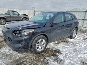 Ford Escape S 1.5L 3 2020
