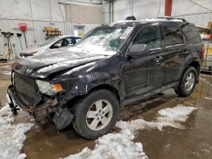 Ford Escape XLT 2.5L 4 2010