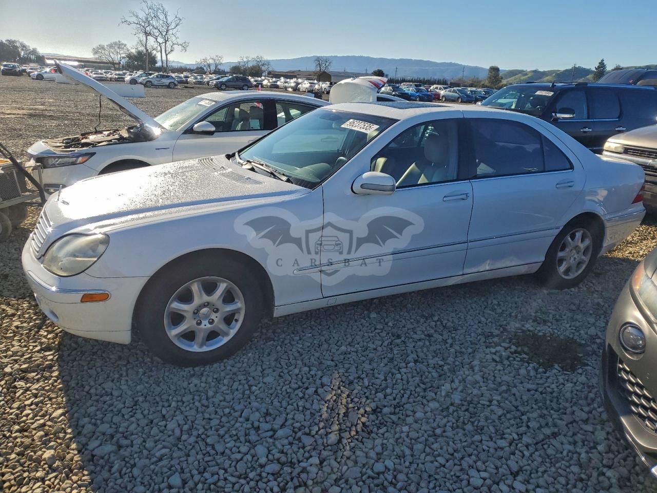 Mercedes-Benz S 500 5.0L 8 2000