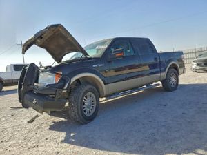 Ford F-150 SUPERCREW 5.4L 8 2010