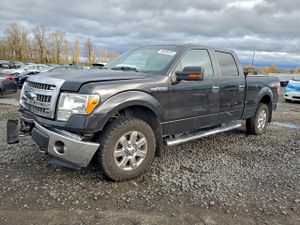 Ford F-150 SUPERCREW 5.0L 8 2013