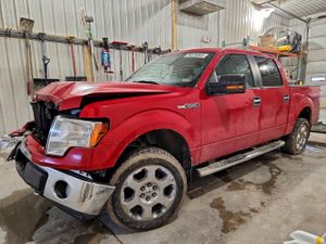Ford F-150 SUPERCREW 5.4L 8 2010