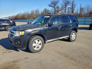 Ford Escape XLT 2.5L 4 2010