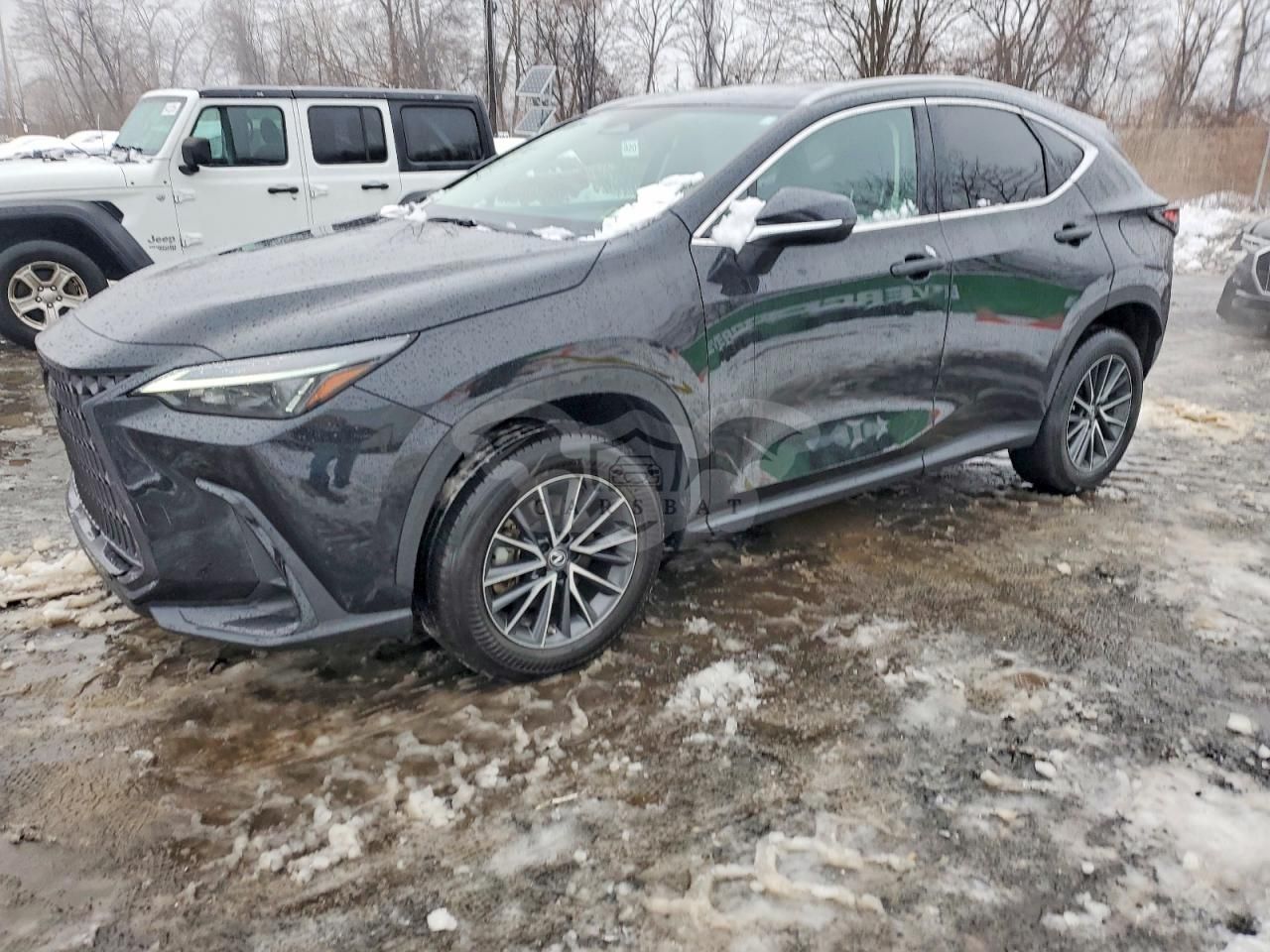 Lexus NX 250 2.5L 4 2023
