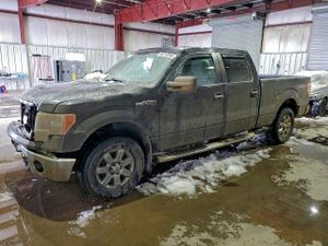 Ford F-150 SUPERCREW 5.0L 8 2013