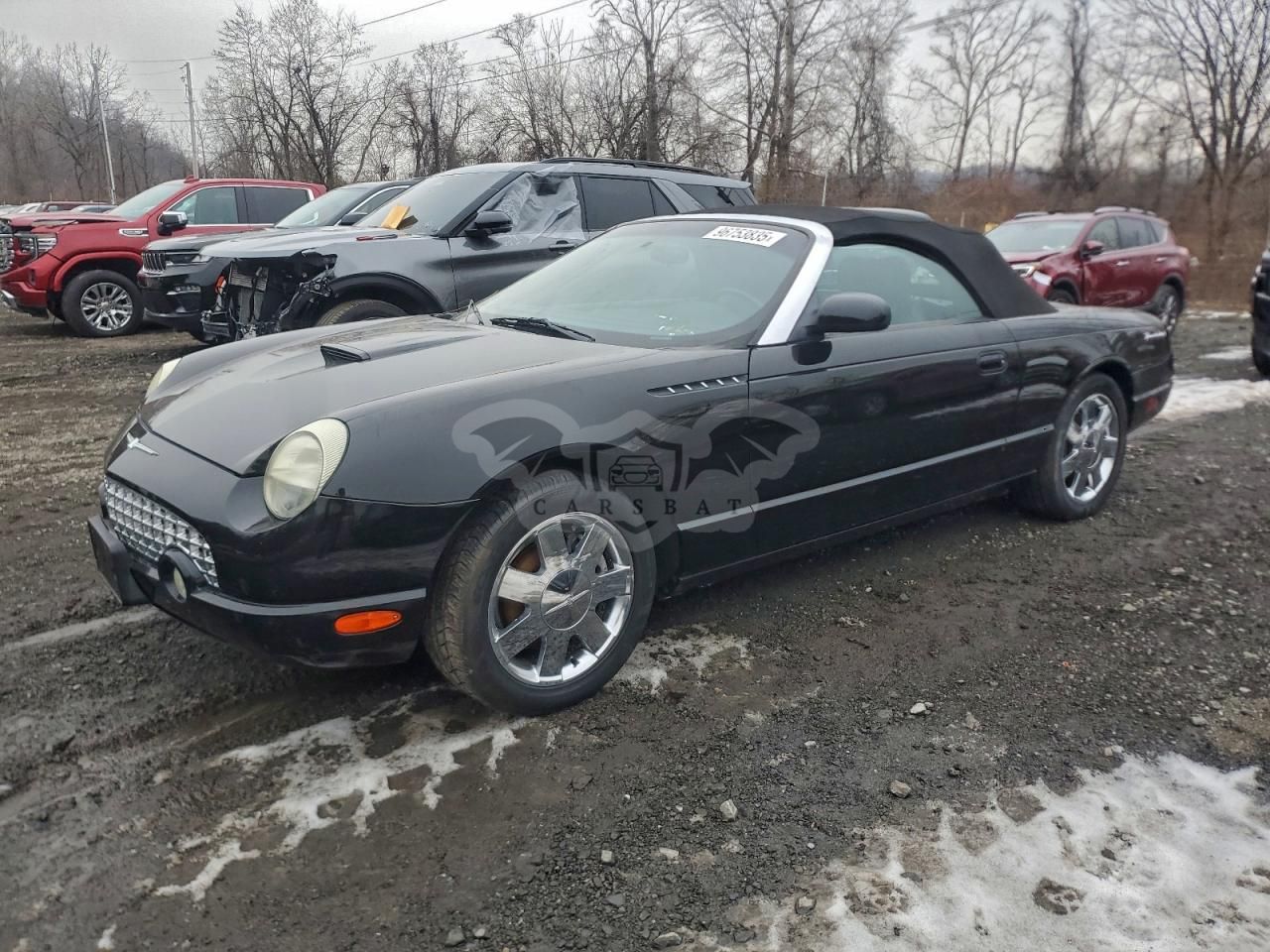 Ford Thunderbird 3.9L 8 2002