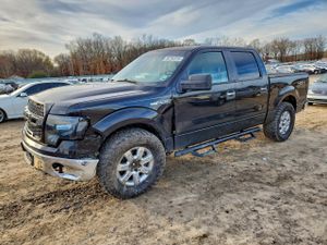 Ford F-150 5.0L 8 2013