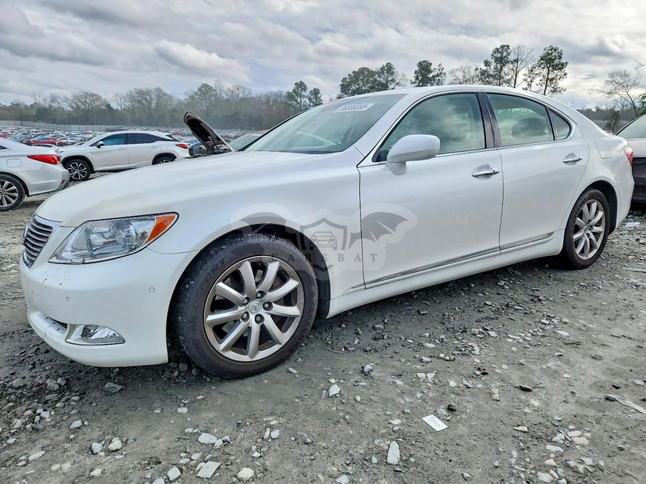 Lexus LS 460 4.6L 8 2009