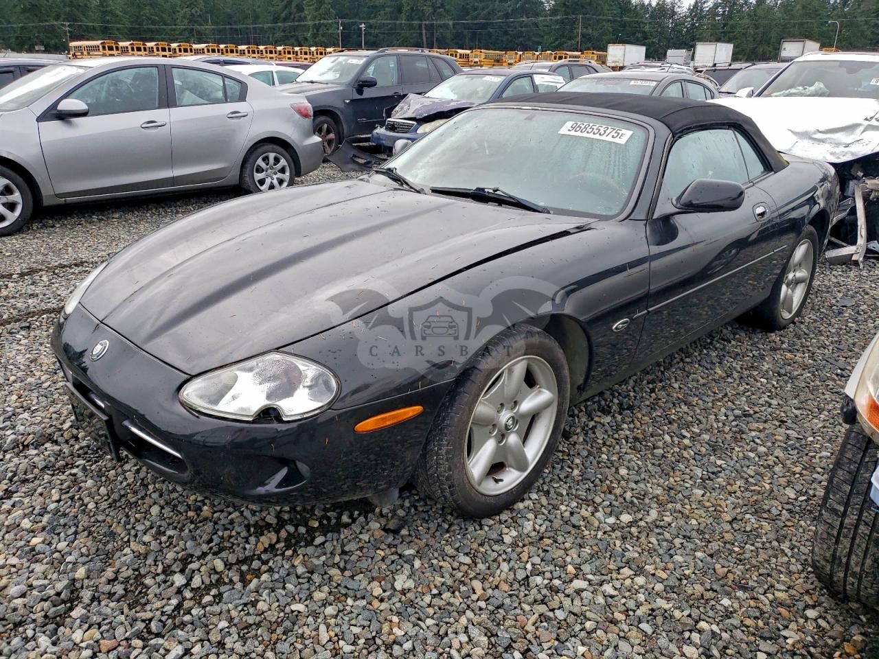 Jaguar XK 4.0L 8 1997