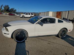 Ford Mustang 4.0L 6 2006