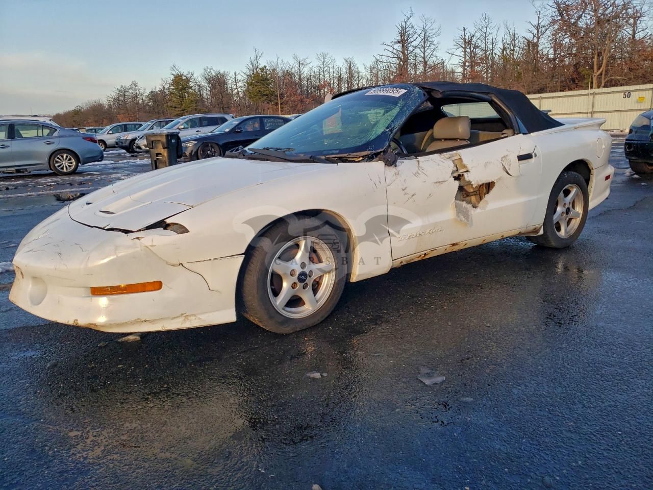 Pontiac Firebird FORMULA 5.7L 8 1995