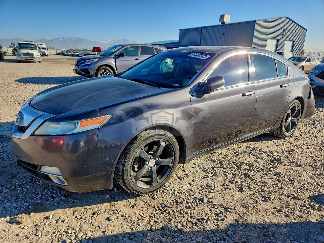 Acura TL 3.7L 6 2009