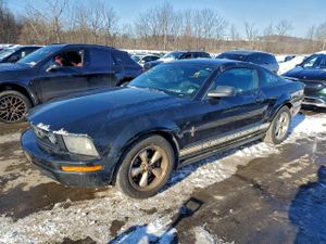 Ford Mustang 4.0L 6 2007