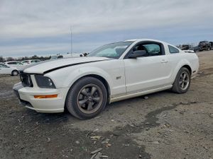 Ford Mustang GT 4.6L 8 2006