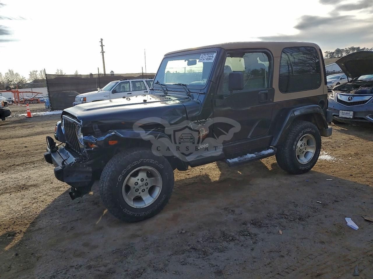 Jeep Wrangler SAHARA 4.0L 6 1999