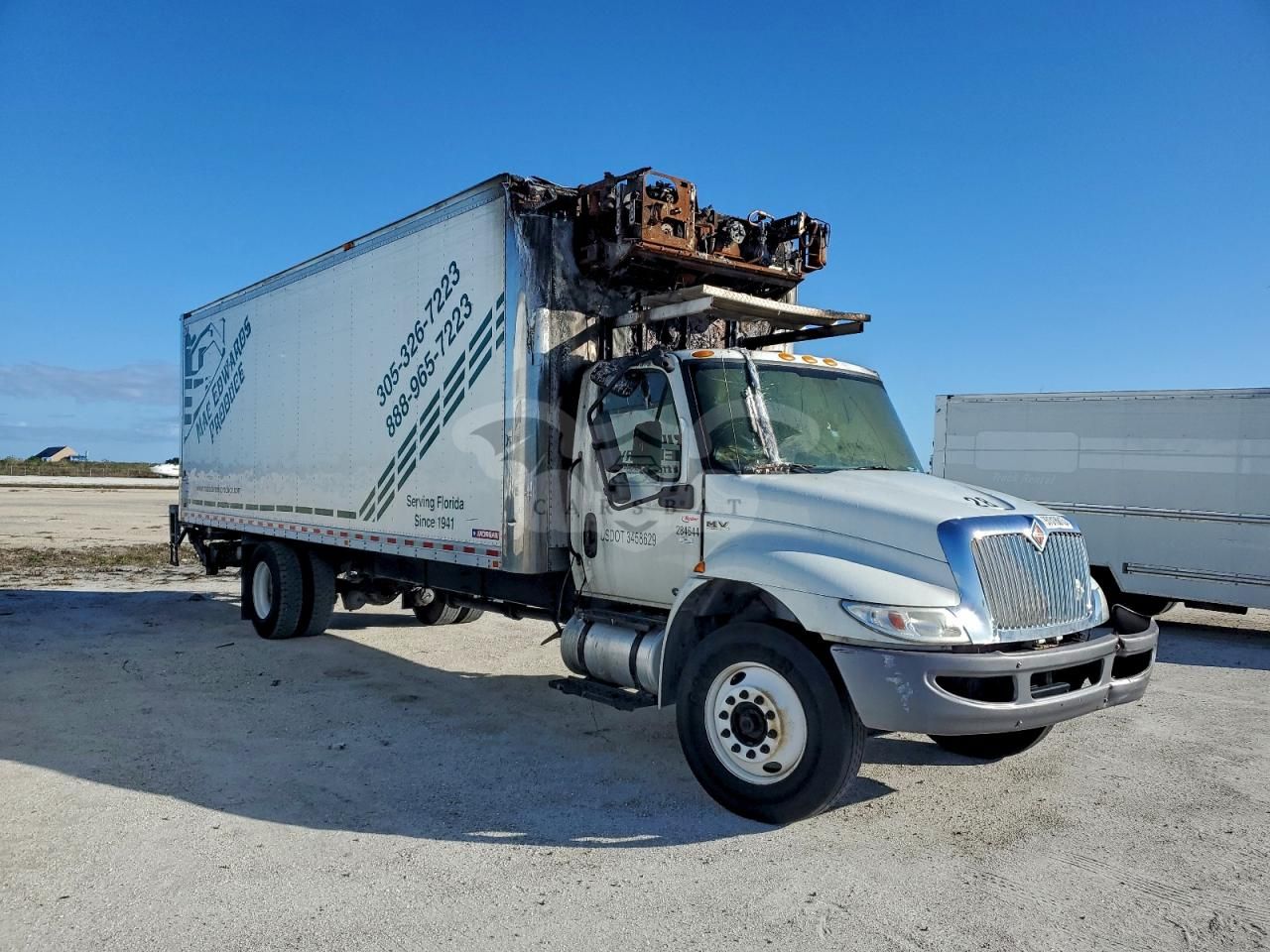 International MV Series 6.7L 6 2020