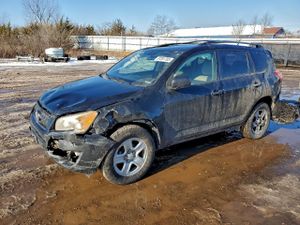 Toyota Rav4 2.5L 4 2011