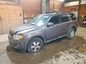 Ford Escape XLT 2.5L 4 2009