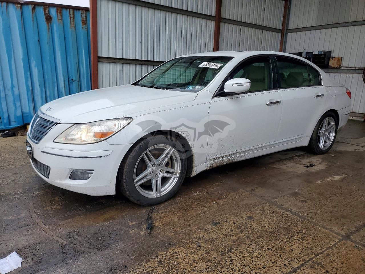 Hyundai Genesis 3.8L 3.8L 6 2010