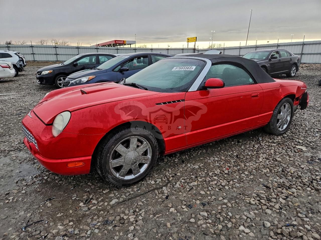 Ford Thunderbird 3.9L 8 2003