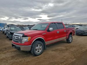 Ford F-150 SUPERCREW 4.6L 8 2010
